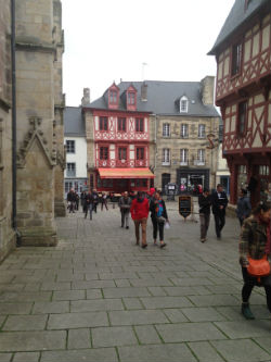 Josselin, Commune pilote pour la revitalisation des centres-bourgs