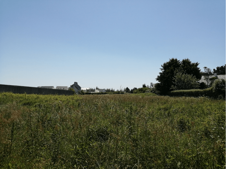 Sauzon (56) : du logement sur Belle-Île-en-Mer